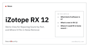 iZotope RX 12: Stems View for Repairing Sound by Part, and Where It Fits in Noise Removal