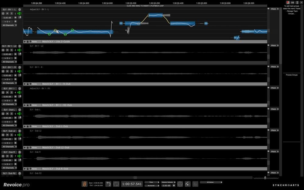 Revoice Pro 5 screenshot (1)