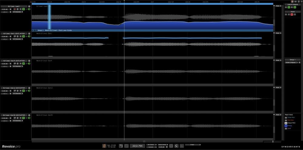 Revoice Pro 5 screenshot (4)